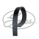 Cinghia trapezoidale scanalata GATES 6PK995HD