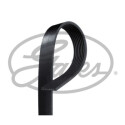 Cinghia trapezoidale scanalata GATES 8PK2275HD