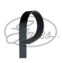 Cinghia trapezoidale GATES V-poly 9PK1887HD