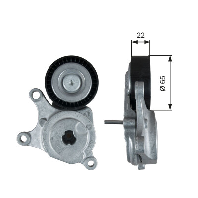 Tendicinghia, Cinghia Poly-V