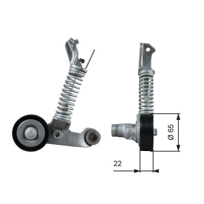 Tendicinghia, Cinghia Poly-V