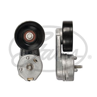 Tendicinghia, Cinghia Poly-V