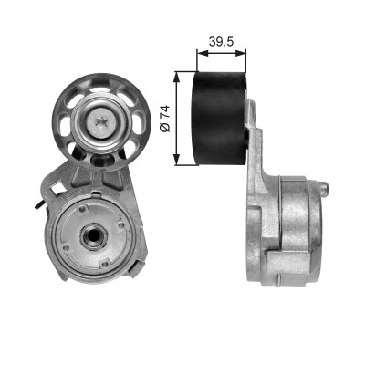 Tendicinghia, Cinghia Poly-V