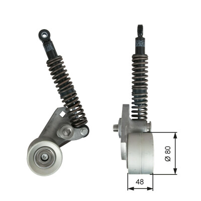Tendicinghia, Cinghia Poly-V
