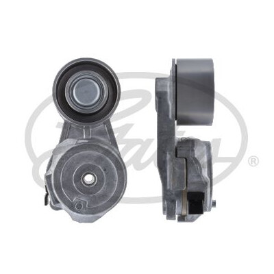 Tendicinghia, Cinghia Poly-V