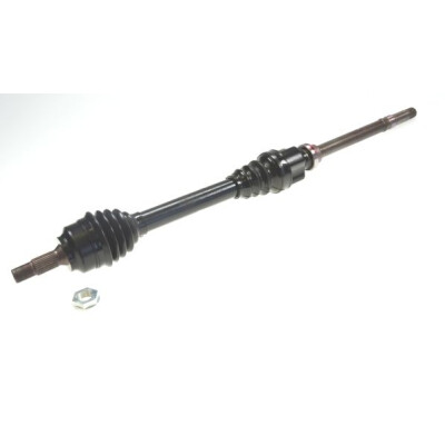 Albero motore/Semiasse