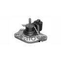 Supporto, motore TALOSA 61-05166