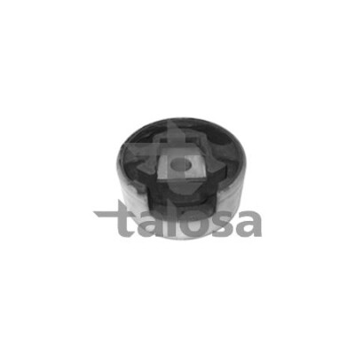 Supporto, motore TALOSA 61-05279