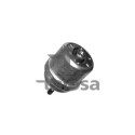 Supporto, motore TALOSA 61-05334
