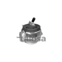 Supporto motore TALOSA 61-06639