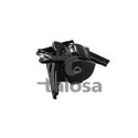 Supporto motore TALOSA 61-11718