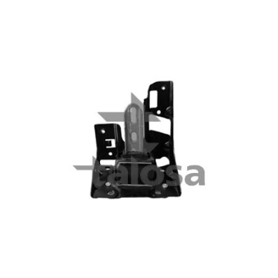 Supporto, motore TALOSA 61-13431