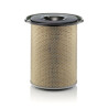 Filtro aria MANN-FILTER C 30 1185