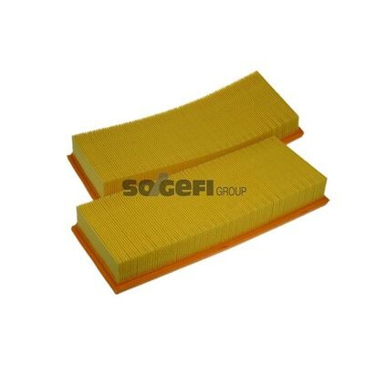 Filtro aria PURFLUX A1207
