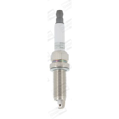Candela CHAMPION OE130/T10