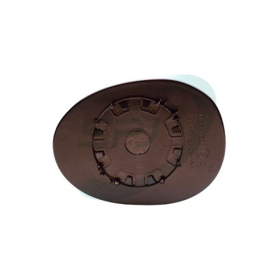 Vetro specchietto retrovisore esterno SPJ L-0521