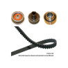 Kit cinghie dentate