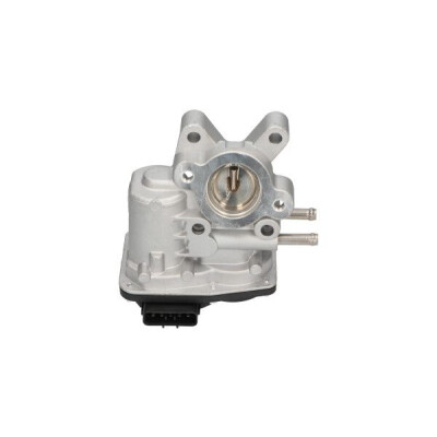 Valvola ricircolo gas scarico-EGR