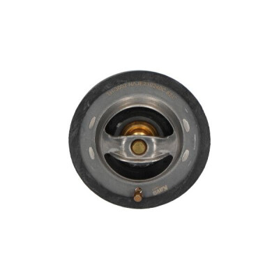 Termostato, refrigerante KAVOPARTS TH-3002