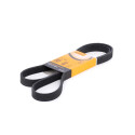 Cinghia trapezoidale trapezoidale ContiTech 6 PK 1580