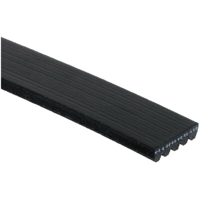 Cinghia Poly-V