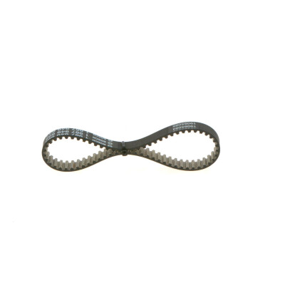 Cinghia dentata