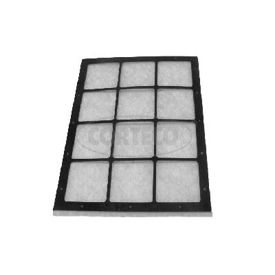 Filtro, Aria abitacolo