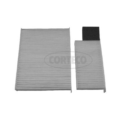 Filtro, Aria abitacolo