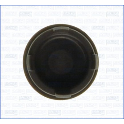 Consiglio AJUSA 794900