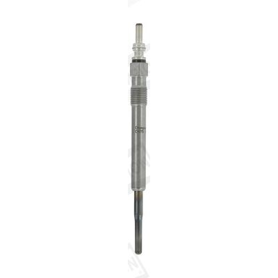 Candeletta CHAMPION CH215