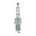 Candela CHAMPION OE057/T10