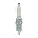 Candela CHAMPION OE128/T10