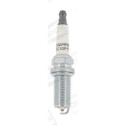 Candela CHAMPION OE175/T10