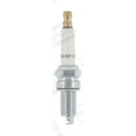 Candela CHAMPION OE186/T10