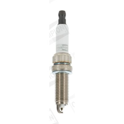 Candela CHAMPION OE205