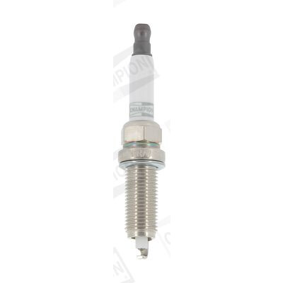 Candela CHAMPION OE207