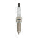 Candela CHAMPION OE229