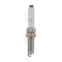 Candela CHAMPION OE259