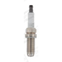 Candela CHAMPION OE262