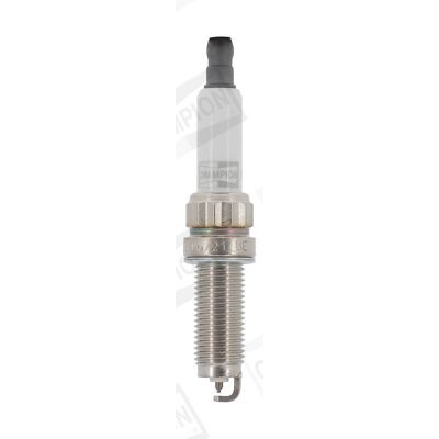 Candela CHAMPION OE268