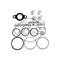 Kit di riparazione, unità pompa-iniettore METALCAUCHO 43003