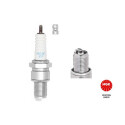 Candela NGK 1097