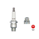 Candela NGK 6431