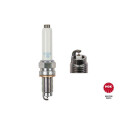Candela NGK 97124