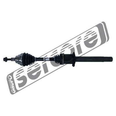 Albero motore/Semiasse