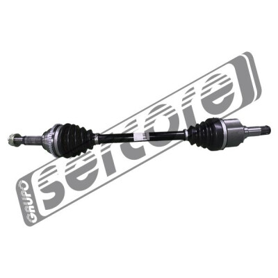 Albero motore/Semiasse