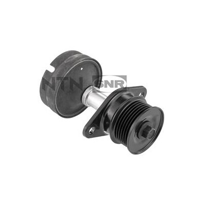 Ruota libera alternatore SNR GA752.09