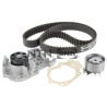 Kit pompa acqua + cinghia distribuzione SNR KDP455.460
