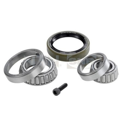 Kit cuscinetto ruota SNR R151.24