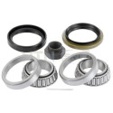 Kit cuscinetto ruota SNR R152.16